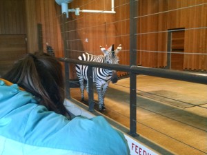 IMG_20160105_150401336